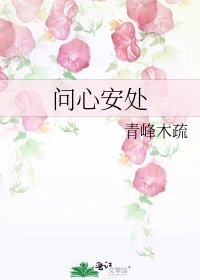 问心安处